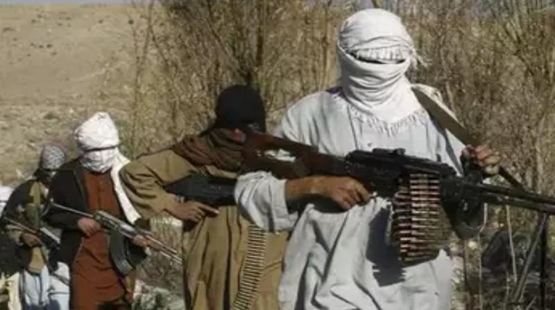 14 Al-Qaeda terrorists arrested News 14 Al-Qaeda terrorists arrested News