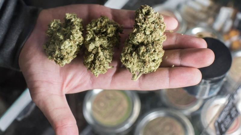 US House passes federal cannabis decriminalisation bill US House passes federal cannabis decriminalisation bill