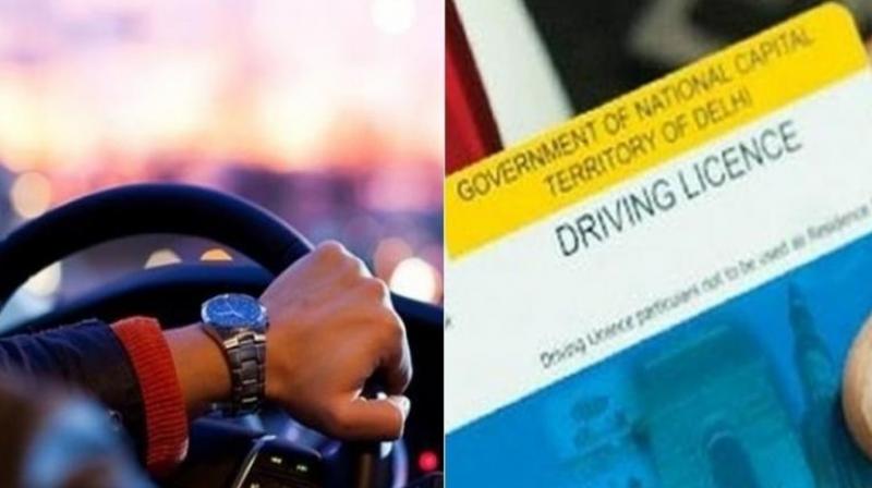 DRIVING LICENSE DRIVING LICENSE
