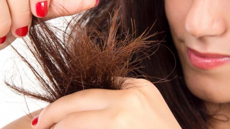 Split Ends Split Ends