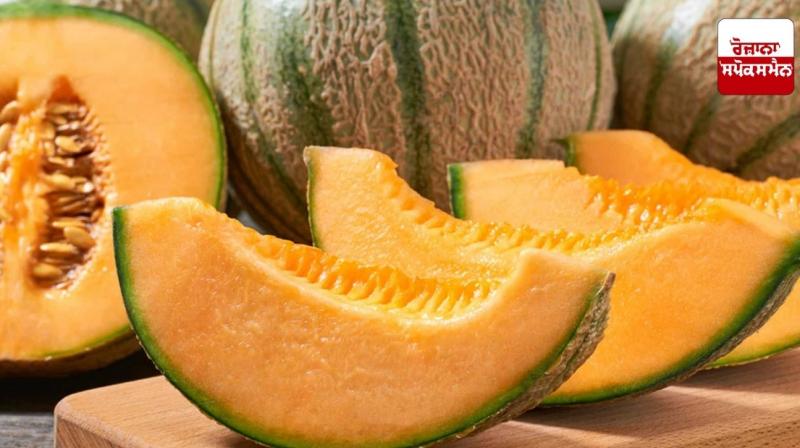 Melon is very beneficial for Health Melon is very beneficial for Health
