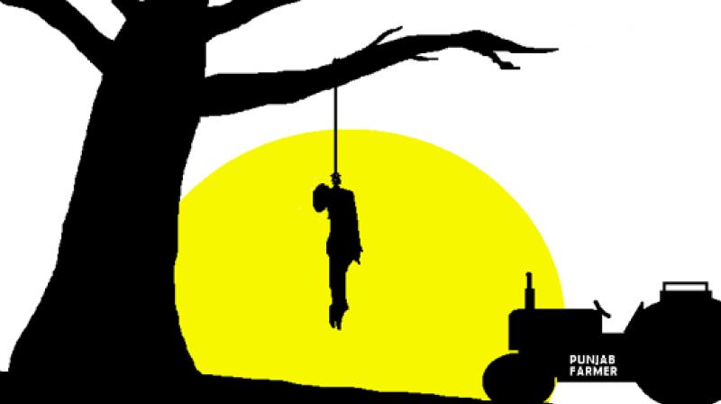 Farmer Suicide in Punjab