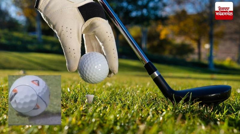 Golfer earns Rs 8 crore from a fly Golfer earns Rs 8 crore from a fly