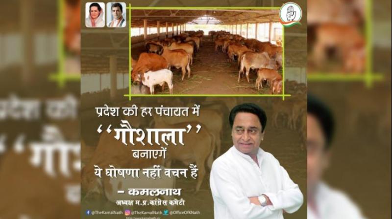 Kamal Nath Kamal Nath