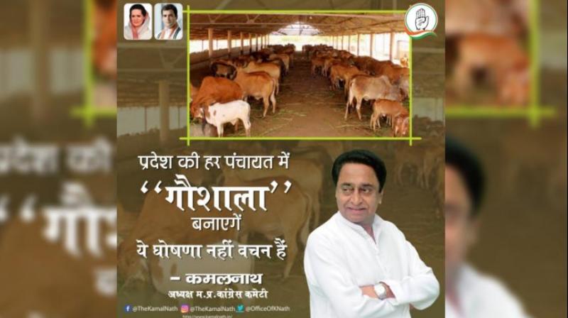 Kamal Nath