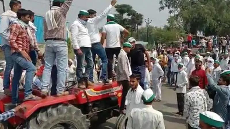 Farmers Ptotest Farmers Ptotest