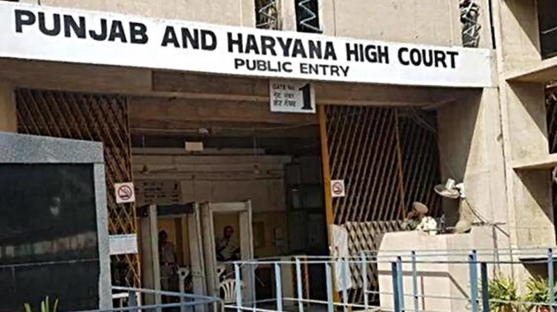 Punjab News: Important questions raised by the High Court to curb drug trafficking Punjab News: Important questions raised by the High Court to curb drug trafficking