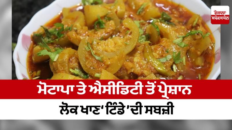 'Tinde' vegetable 'Tinde' vegetable