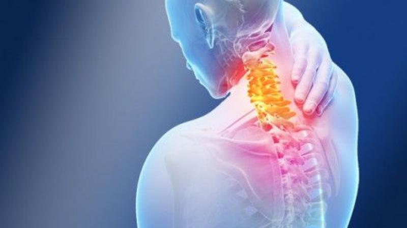 Muscle Pain Muscle Pain