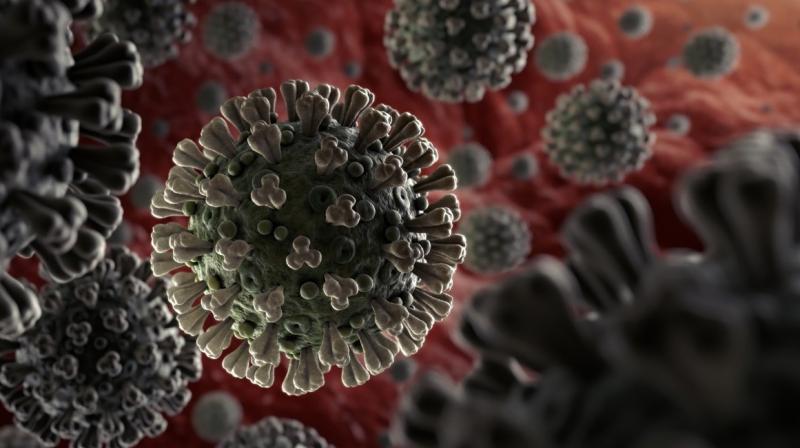 CORONA VIRUS CORONA VIRUS