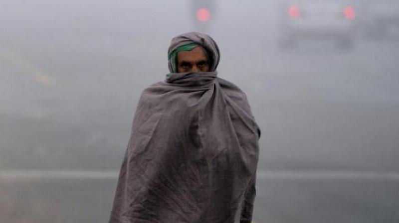 Fog Fog