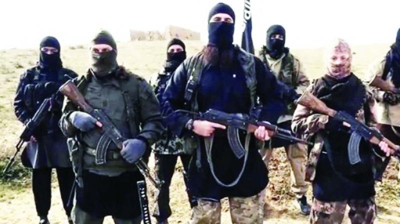 Terrorist Terrorist