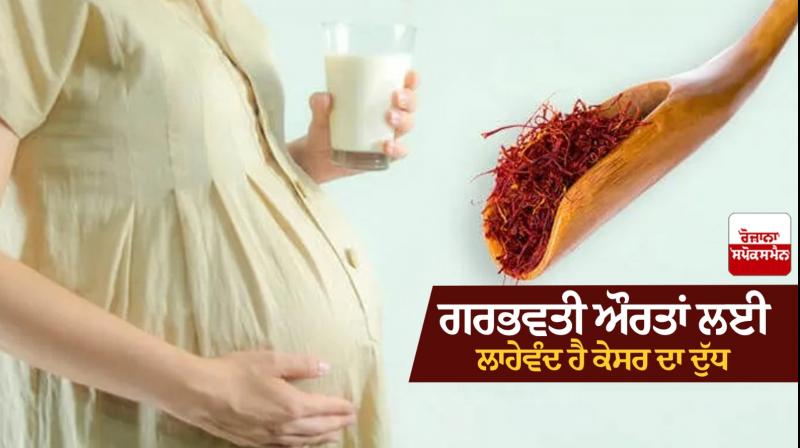 Saffron milk is beneficial for pregnant women