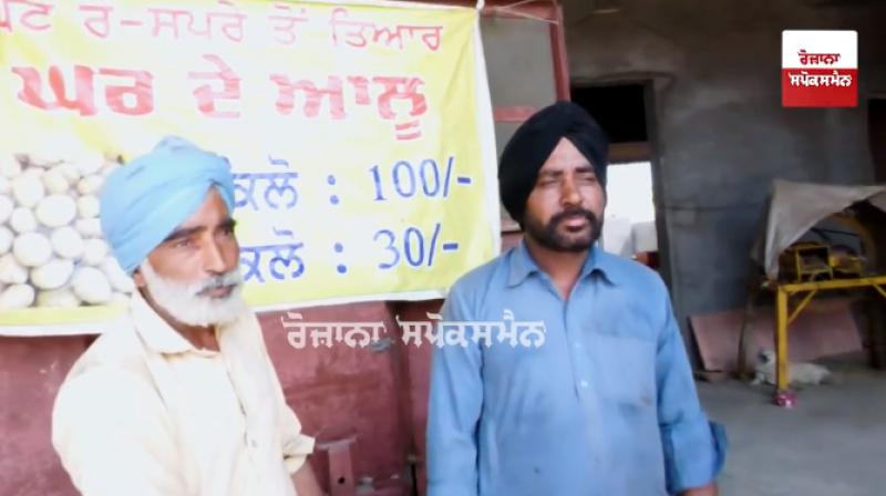 Despite receiving low prices for potatoes, two farmer brothers did not give up growing potatoes.
