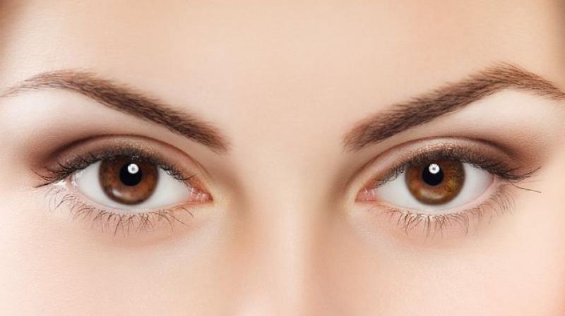 Eyes Eyes