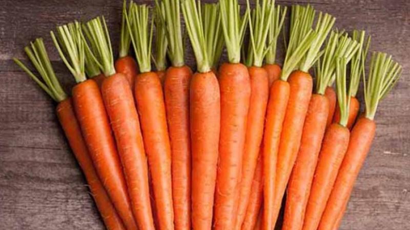 Eating Carrot