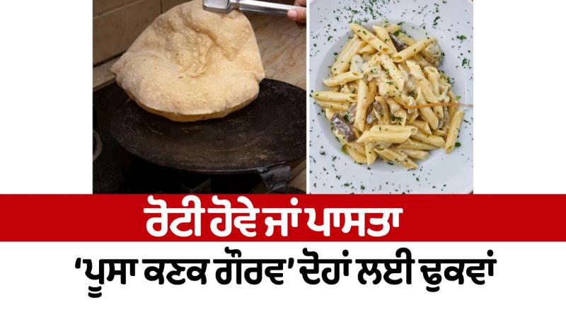 Be it roti or pasta, 'Pusa Wheat Gaurav' is suitable for both News Be it roti or pasta, 'Pusa Wheat Gaurav' is suitable for both News