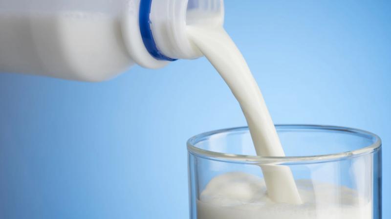 Increase in milk prices in Punjab