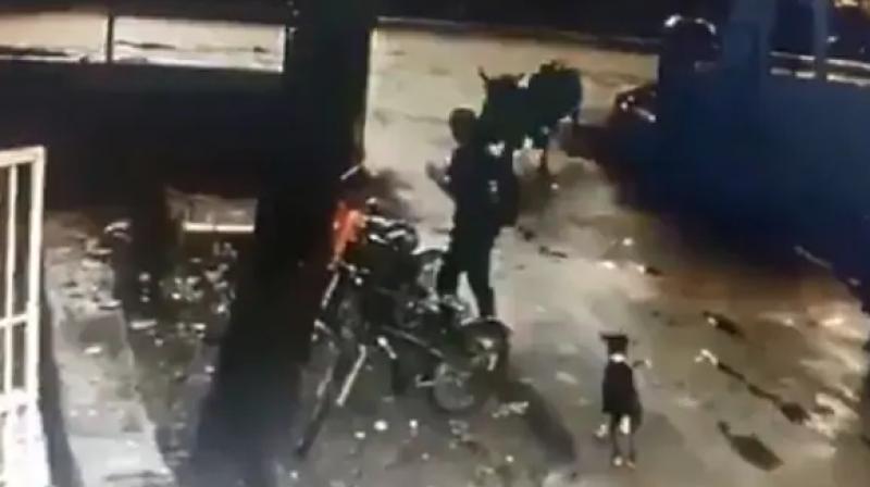 Bulls attacks on a man when he was busy on his phone in iit bombay campus Bulls attacks on a man when he was busy on his phone in iit bombay campus