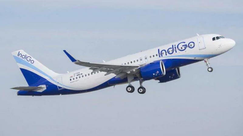 DGCA issued show cause notice to four senior executives of indigo DGCA issued show cause notice to four senior executives of indigo