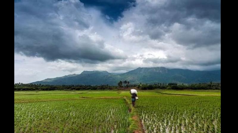 Monsoon 2024 Monsoon 2024