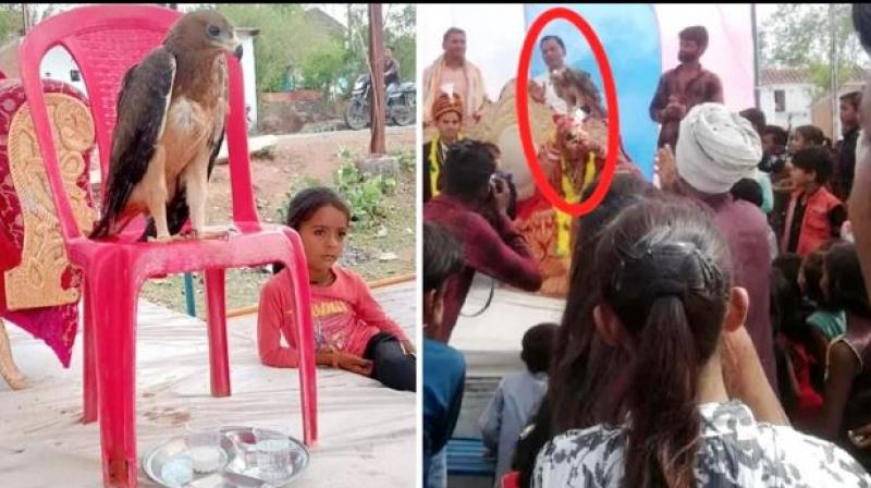 Madhya Pradesh Madhya Pradesh