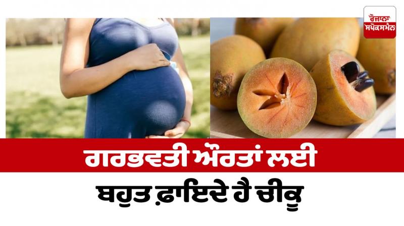 Chiku is very beneficial for pregnant women Health News Chiku is very beneficial for pregnant women Health News