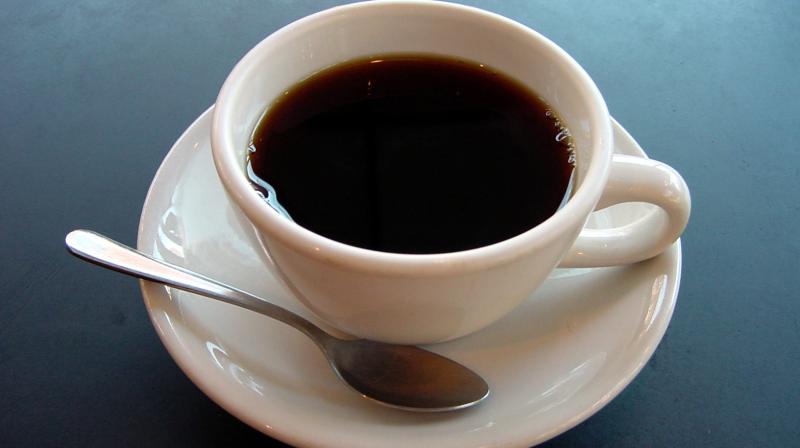 Cat Coffee Cat Coffee