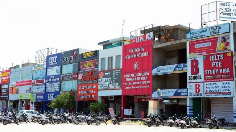 584 immigration and travel agencies are operating without a GST number Jalandhar News 584 immigration and travel agencies are operating without a GST number Jalandhar News