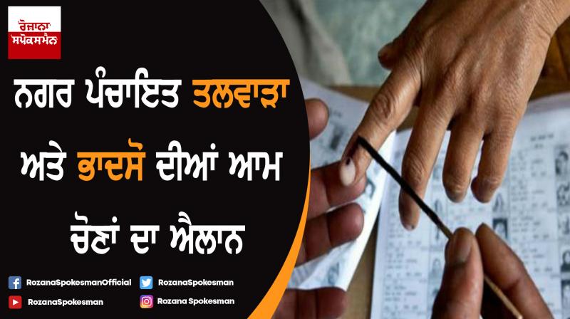 Election Election