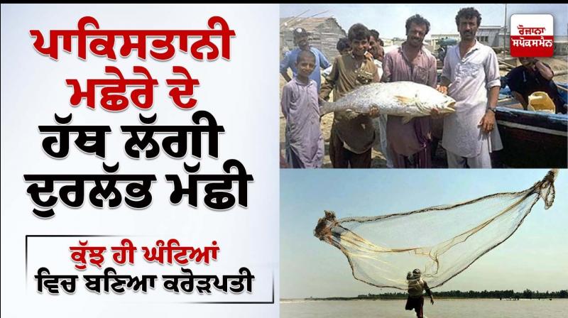 Pakistani fisherman becomes millionaire overnight Pakistani fisherman becomes millionaire overnight