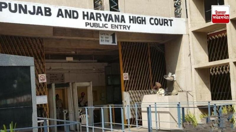 Bathinda double murder case: High Court refuses to grant bail to accused Bathinda double murder case: High Court refuses to grant bail to accused