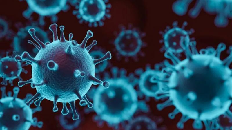 Corona virus Corona virus