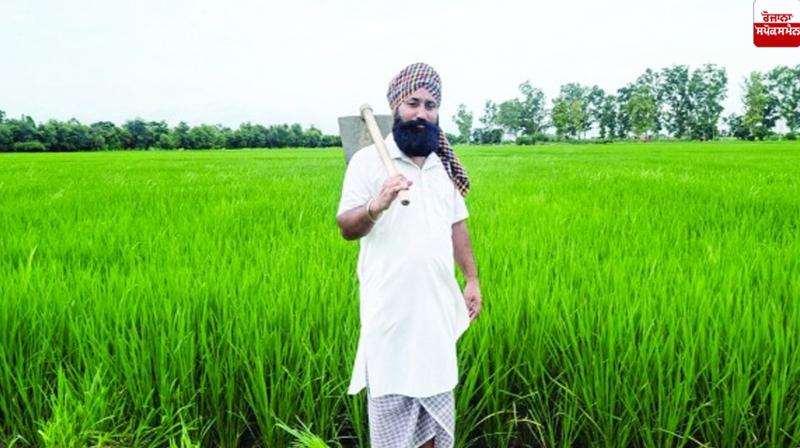 Progressive Farmer Karamjit Singh Dhaliwal Gurdaspur News Progressive Farmer Karamjit Singh Dhaliwal Gurdaspur News