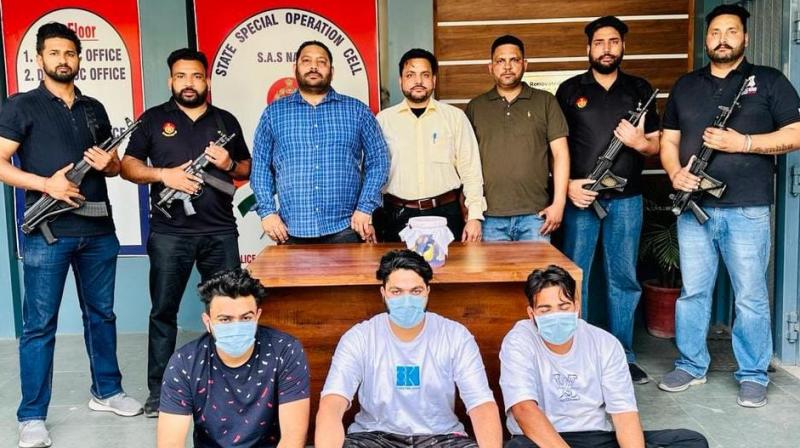 Mohali police arrested 3 gangsters Mohali police arrested 3 gangsters