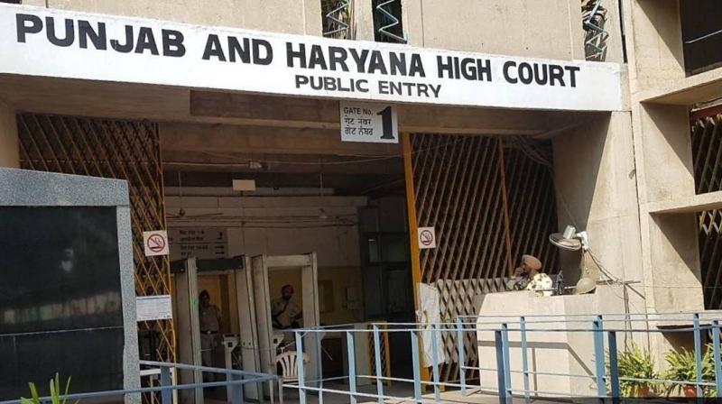 The High Court came down hard on the toll plazas closed by the farmers in Punjab The High Court came down hard on the toll plazas closed by the farmers in Punjab