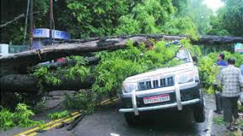 wether change rain and cyclone big problems