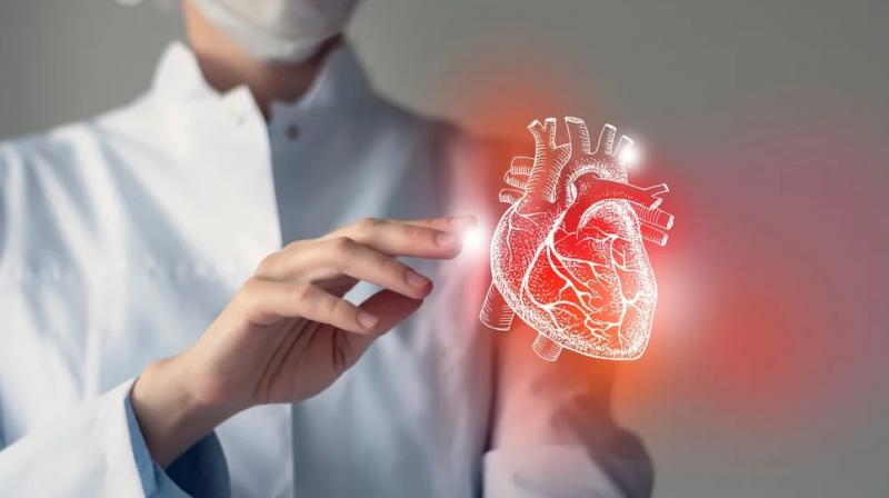 Health News:Hazelnut is beneficial in diseases like diabetes, BP, heart and cancer Health News:Hazelnut is beneficial in diseases like diabetes, BP, heart and cancer