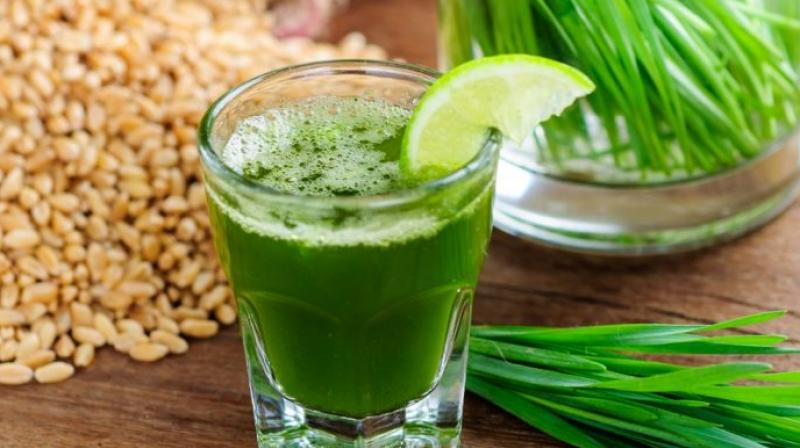 Wheat juice Wheat juice