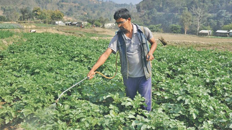Pesticides Pesticides