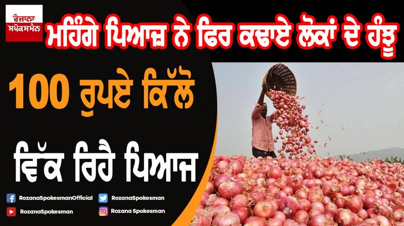 Onion price continue to rule high at Rs 80-100/kg in market Onion price continue to rule high at Rs 80-100/kg in market