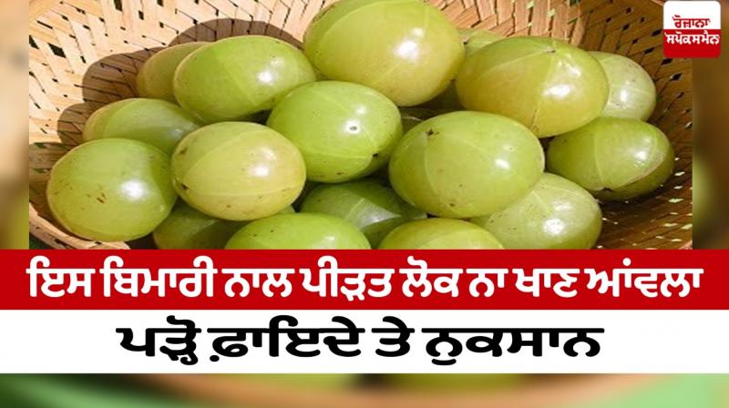 People suffering from this disease should not eat amla, read the benefits and harms People suffering from this disease should not eat amla, read the benefits and harms