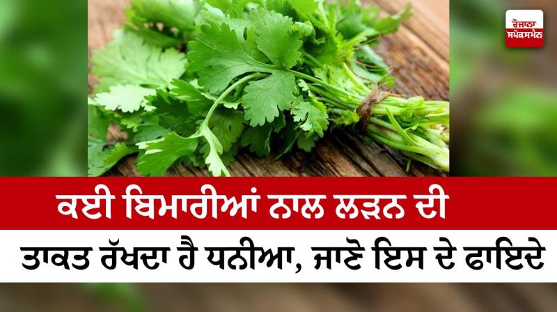 Health Benefits of Coriander Health Benefits of Coriander