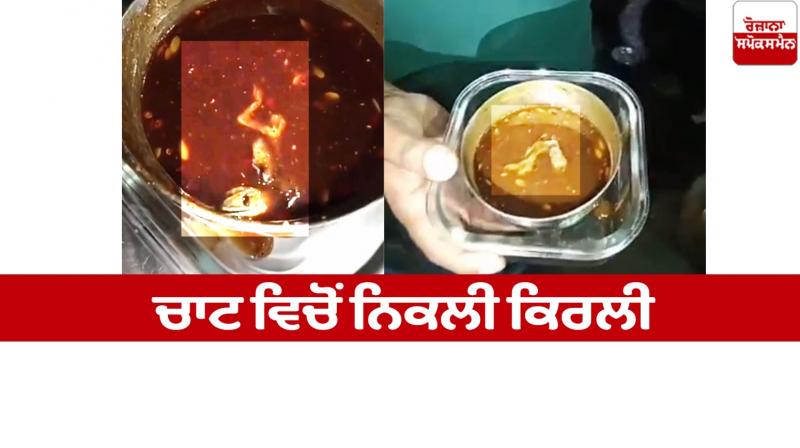 Jalandhar Bhalla Chat Lizard News in punjabi Jalandhar Bhalla Chat Lizard News in punjabi