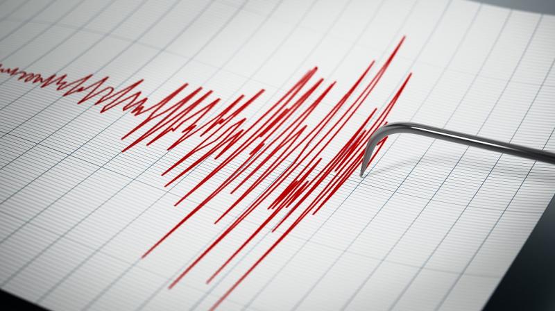 Earthquake of magnitude 3.6 hits Jammu-Kashmir