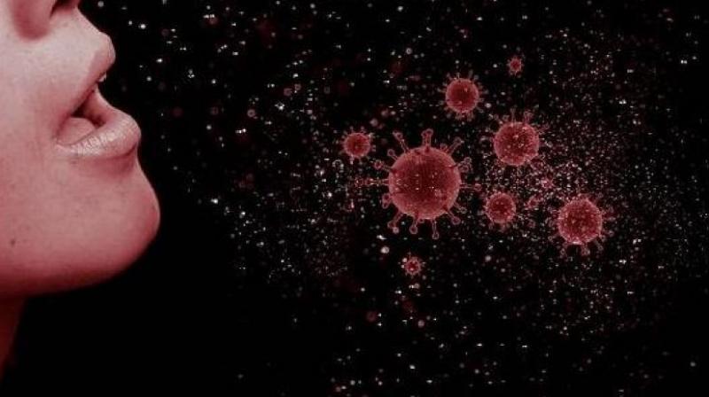 virus virus