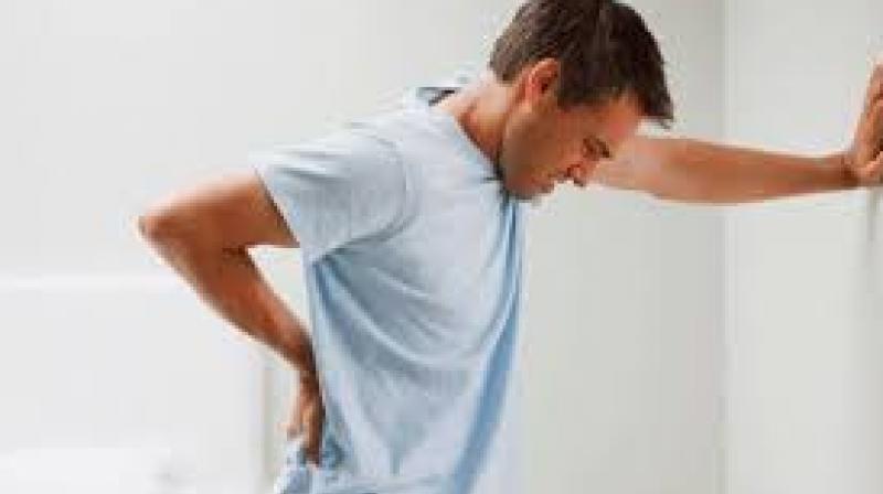 Back Pain Back Pain