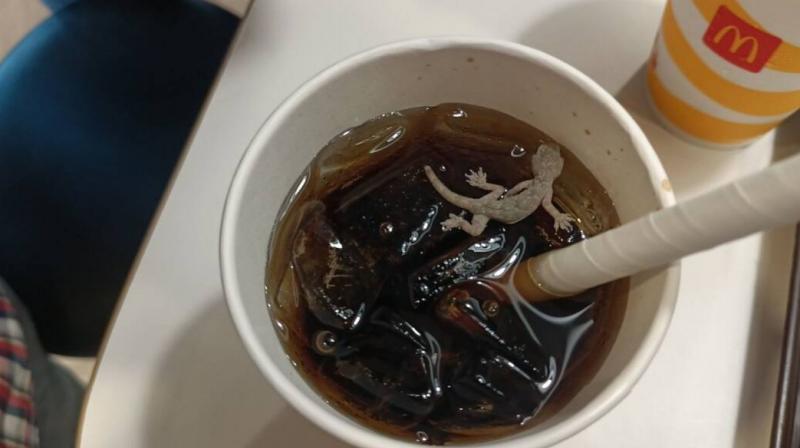 Dead lizard found in McDonald's cold drink