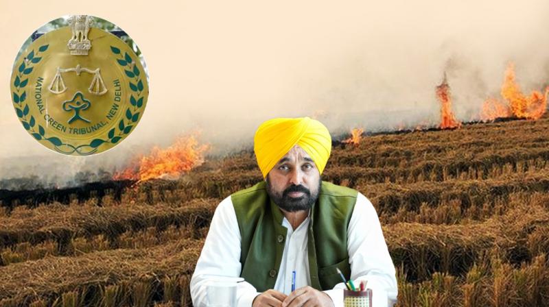 Stubble Burning News Stubble Burning News
