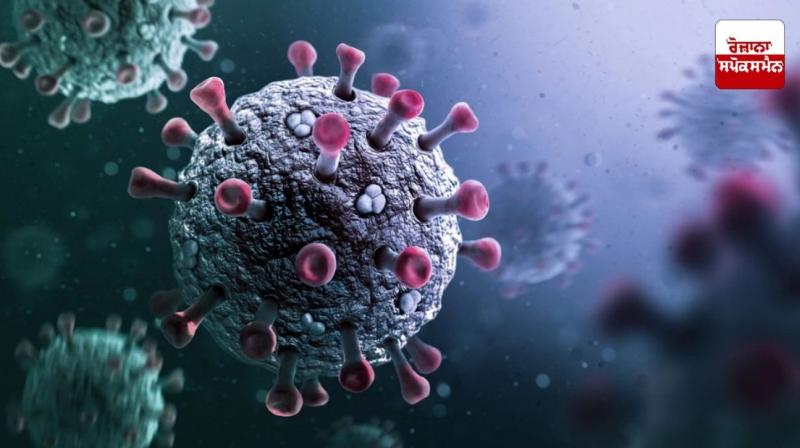 Corona Virus Punjab Update News Corona Virus Punjab Update News